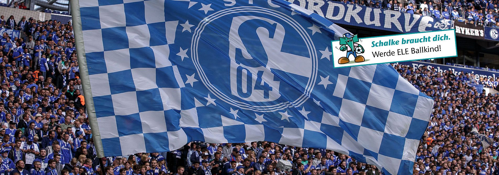 Ballkind Schalke